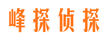 武都市调查公司